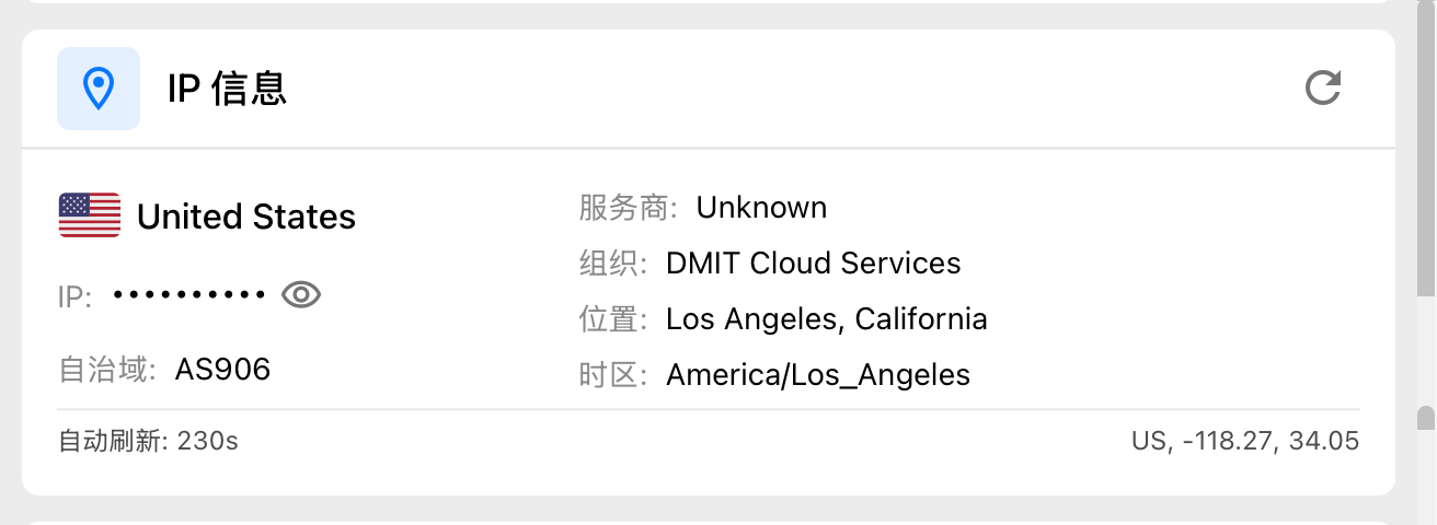 Clash Verge IP 信息局部截图